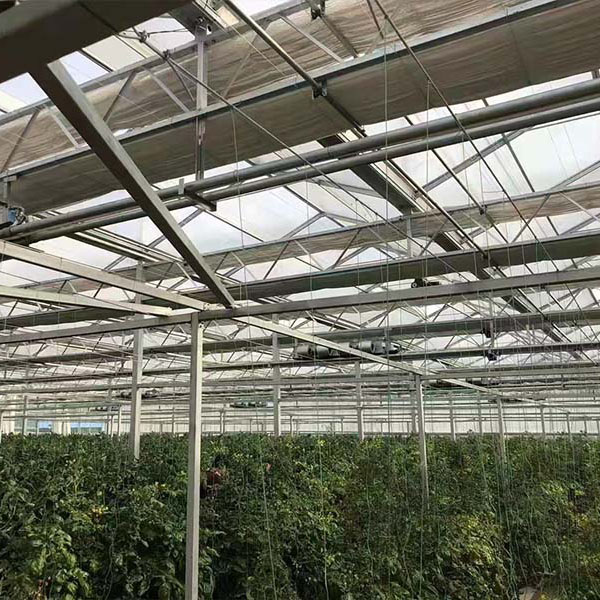 鋼結構大棚安裝